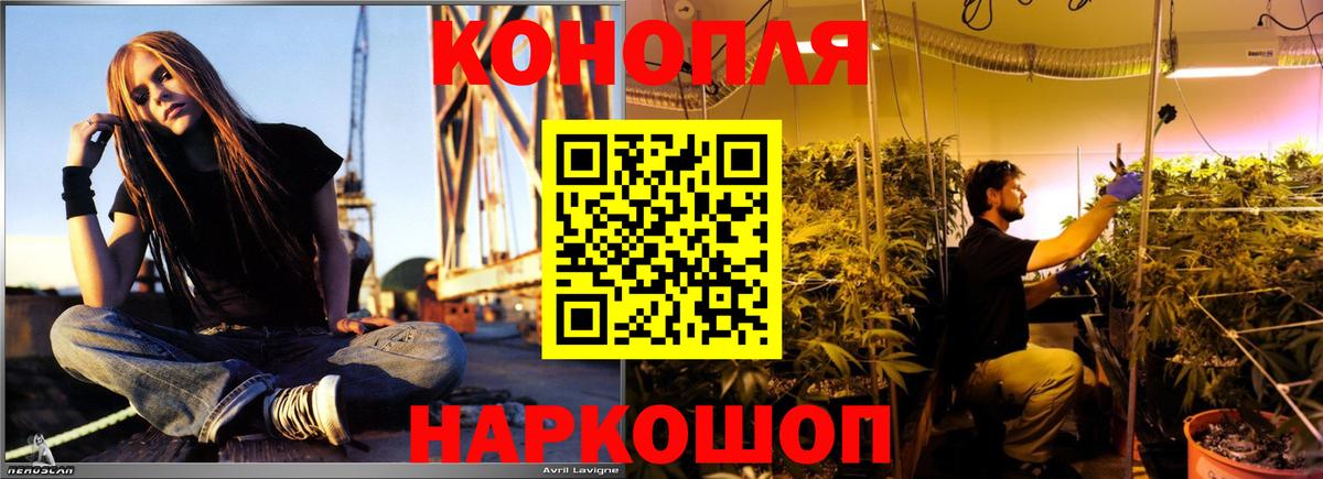 Каннабис White Widow Тюмень